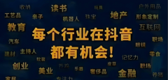 企业可以或许较低的投入